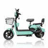 Electric Bike Gicin