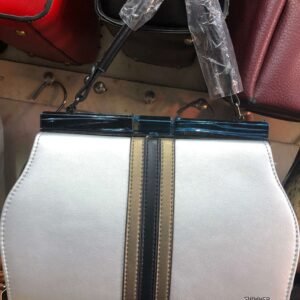 Shimmer White Structured Frame Handbag